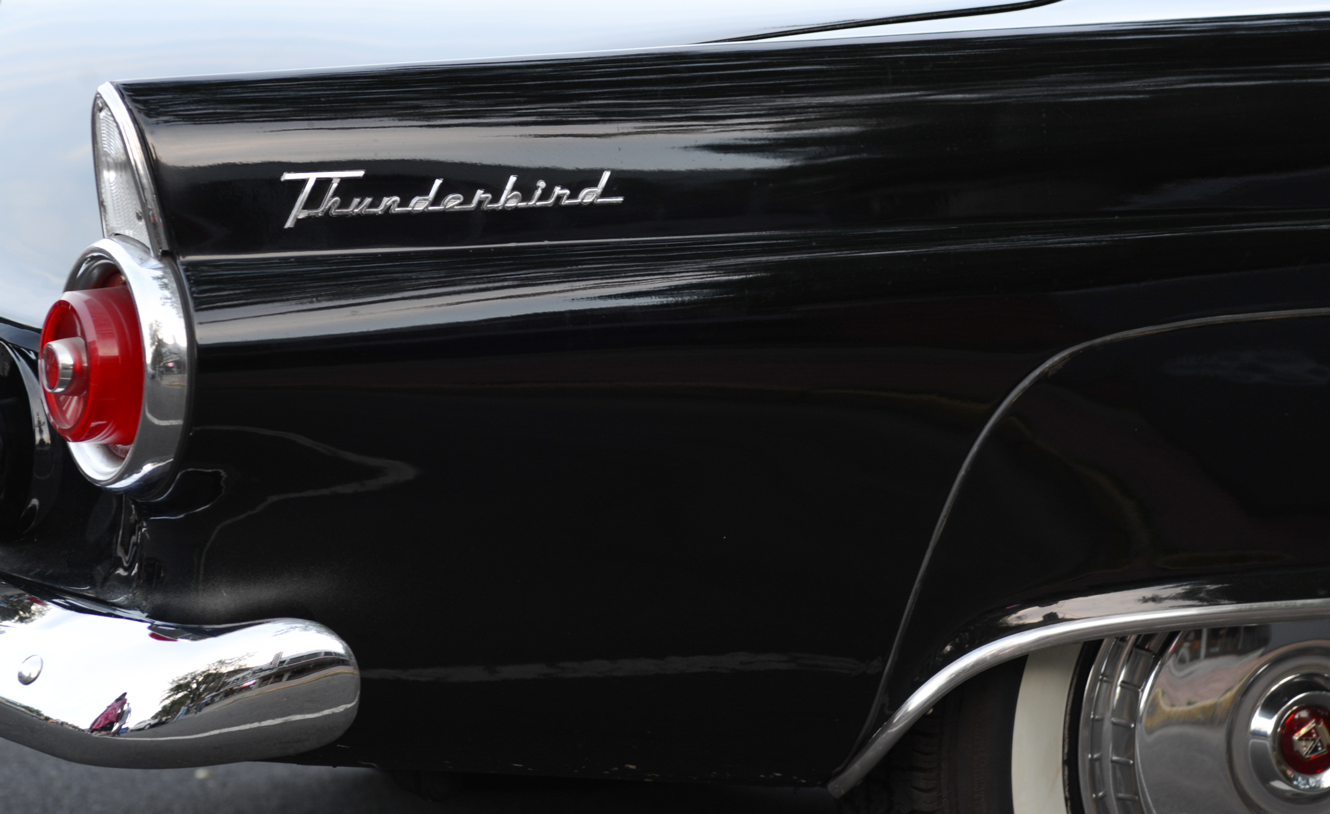 Cruise -2744 tbird wing