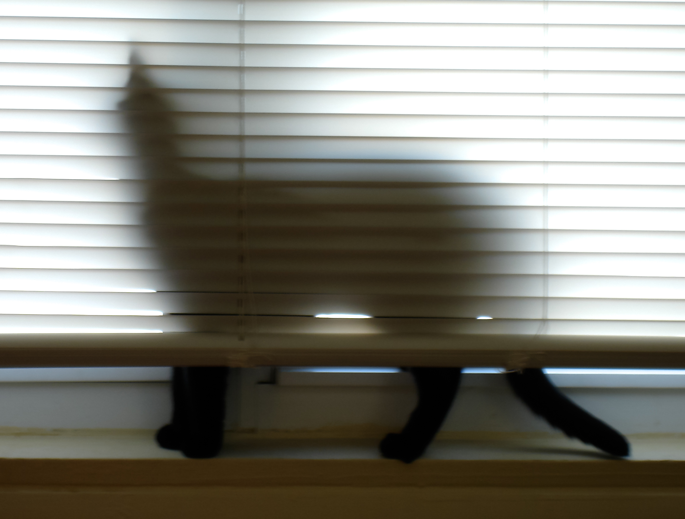 Nev window