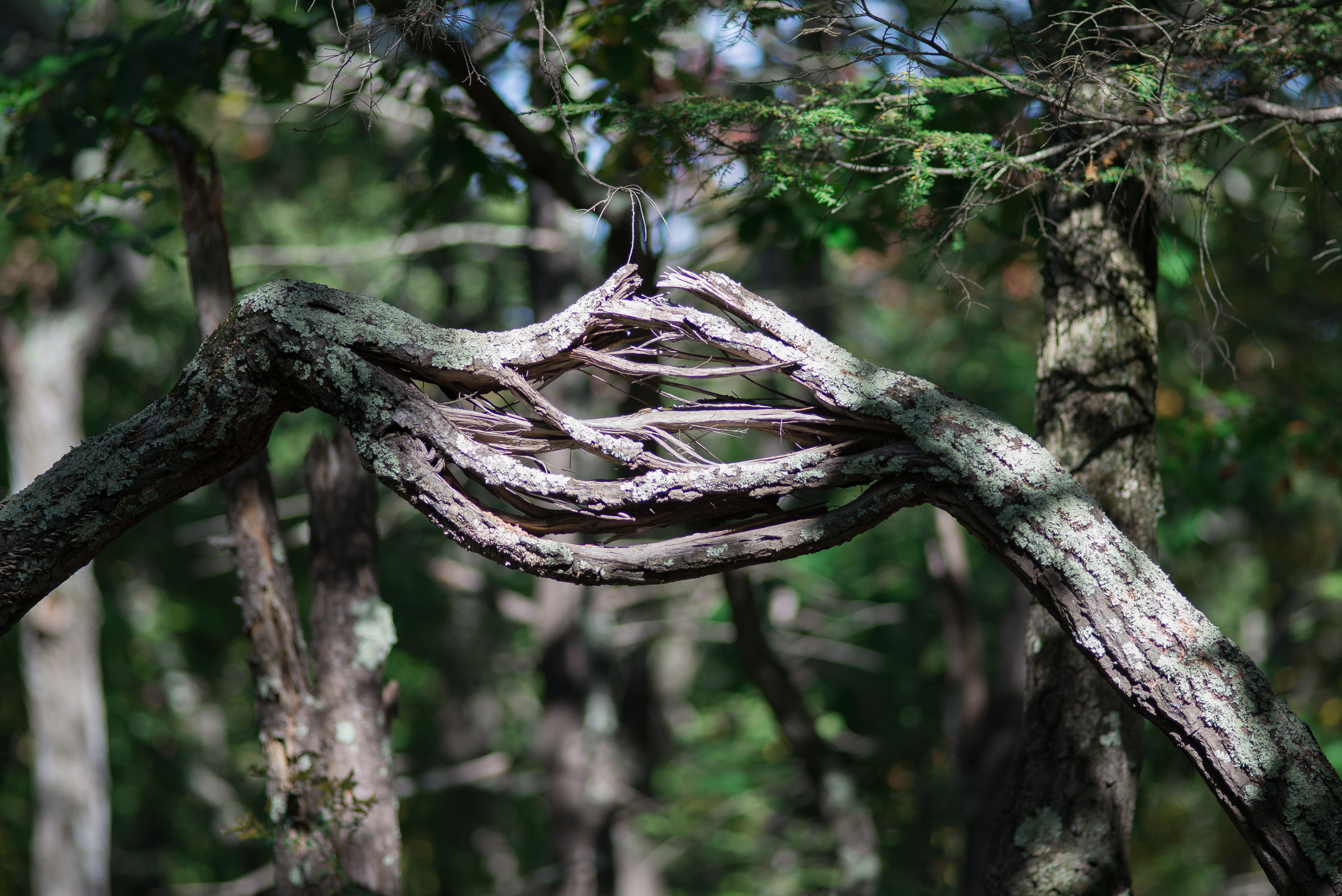 hike-4971