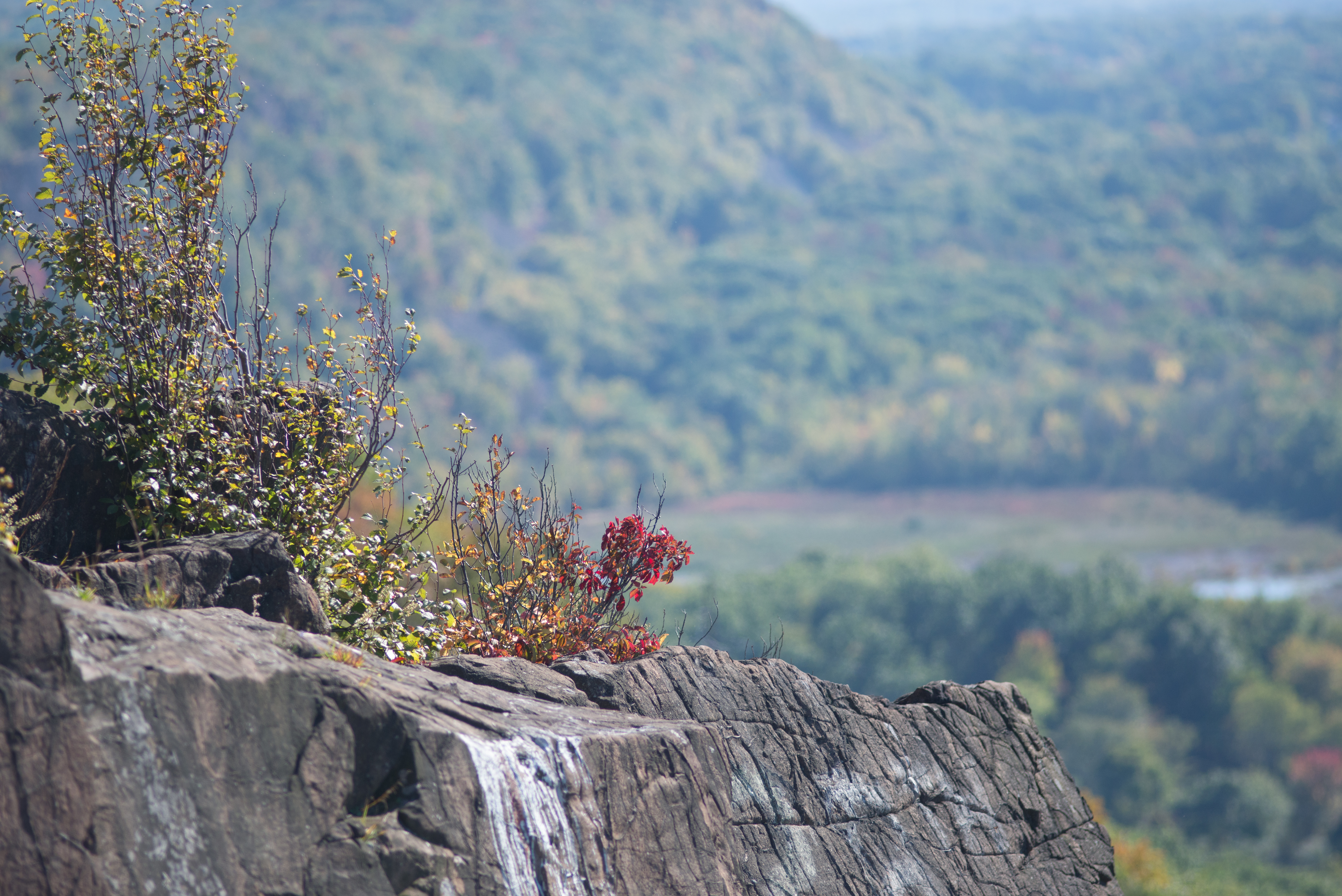 hike-5001