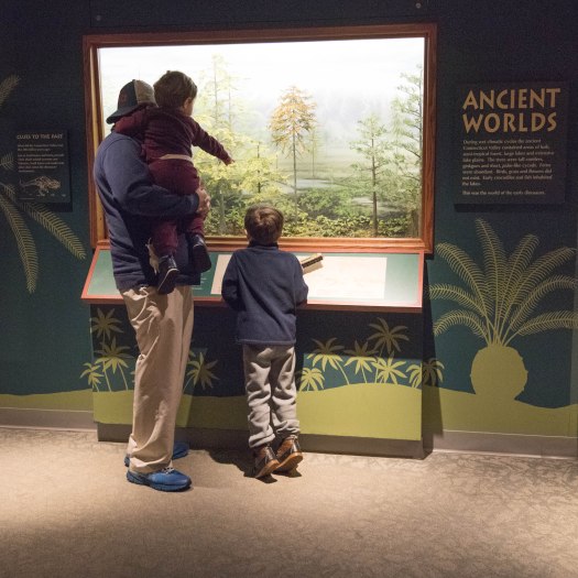 A Learning Experience